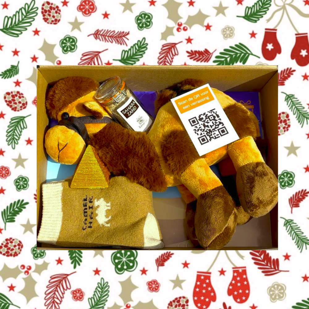 Kerstvideo met kameel (als fysiek pakket geleverd)