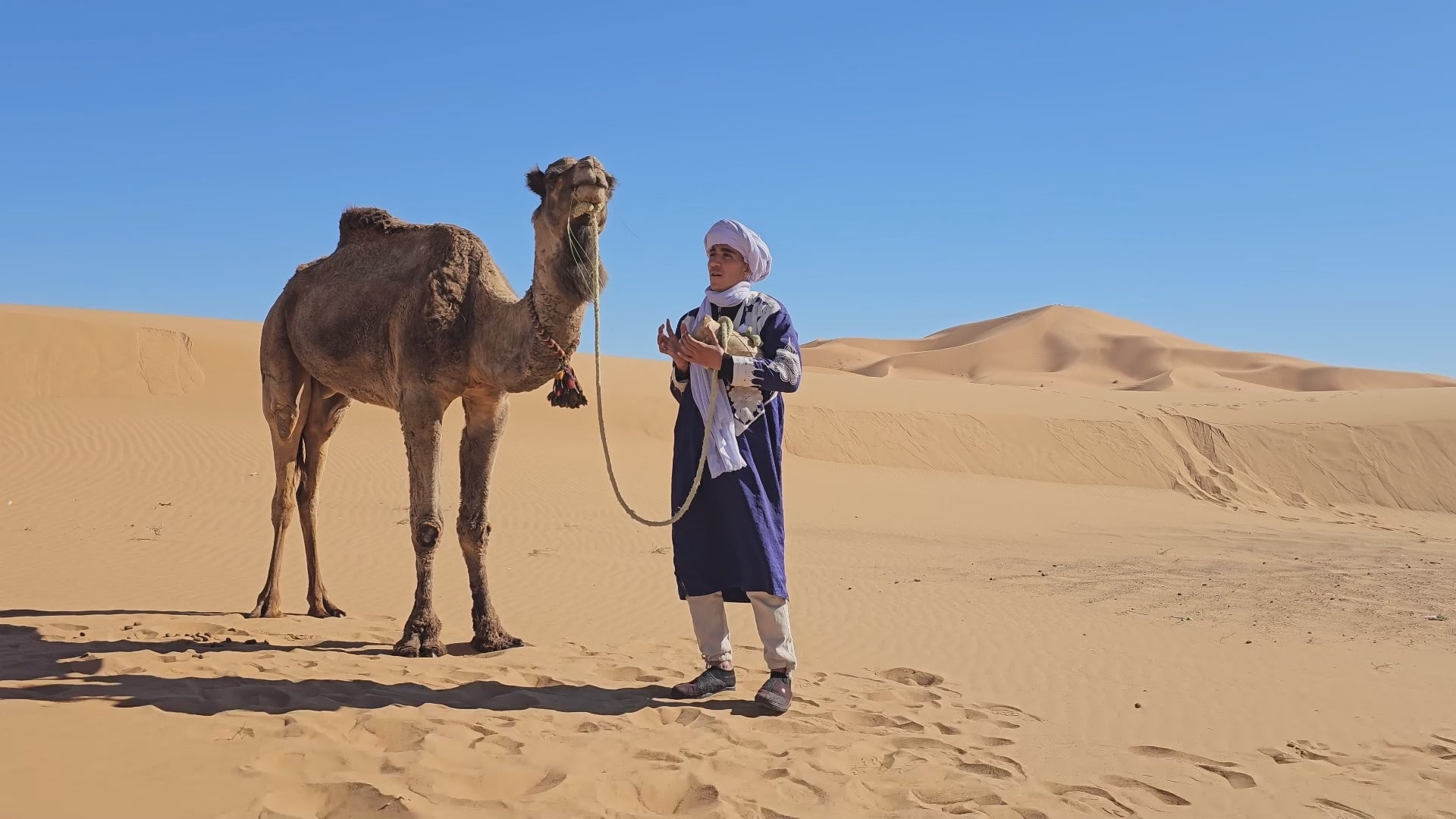 Verjaardagsvideo met kameel | Origineel cadeau idee | Zandflix