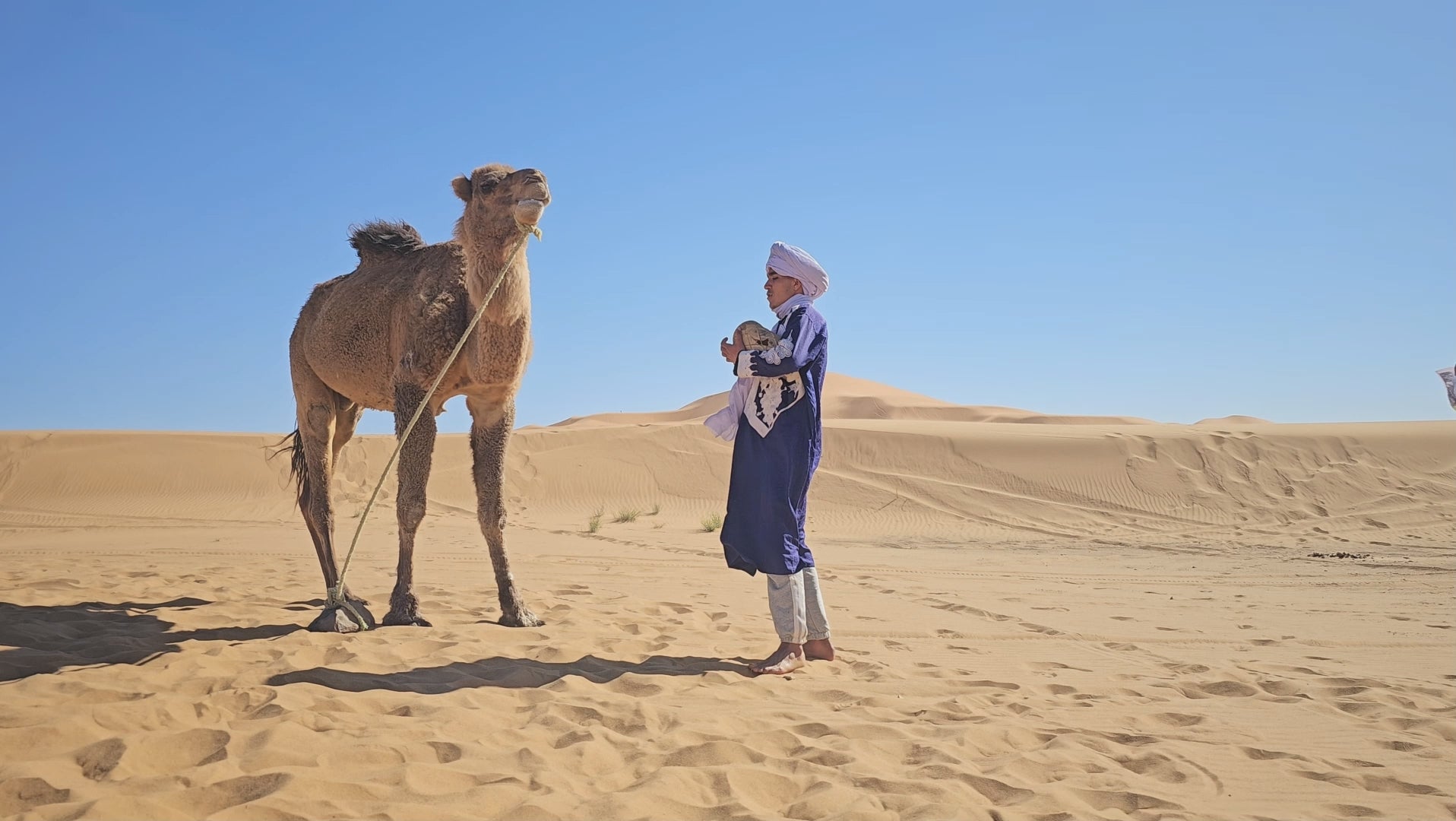 Liefdesvideo met kameel | Romantisch cadeau pakket | Zandflix